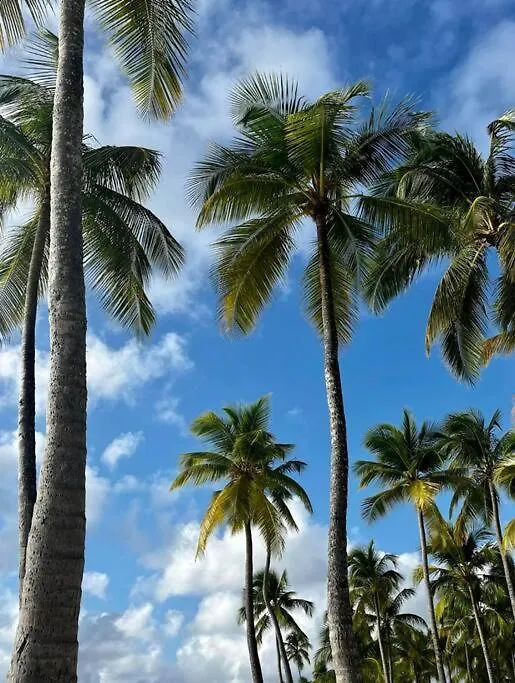 Villa Perle De Corot Saint-Francois  Guadeloupe